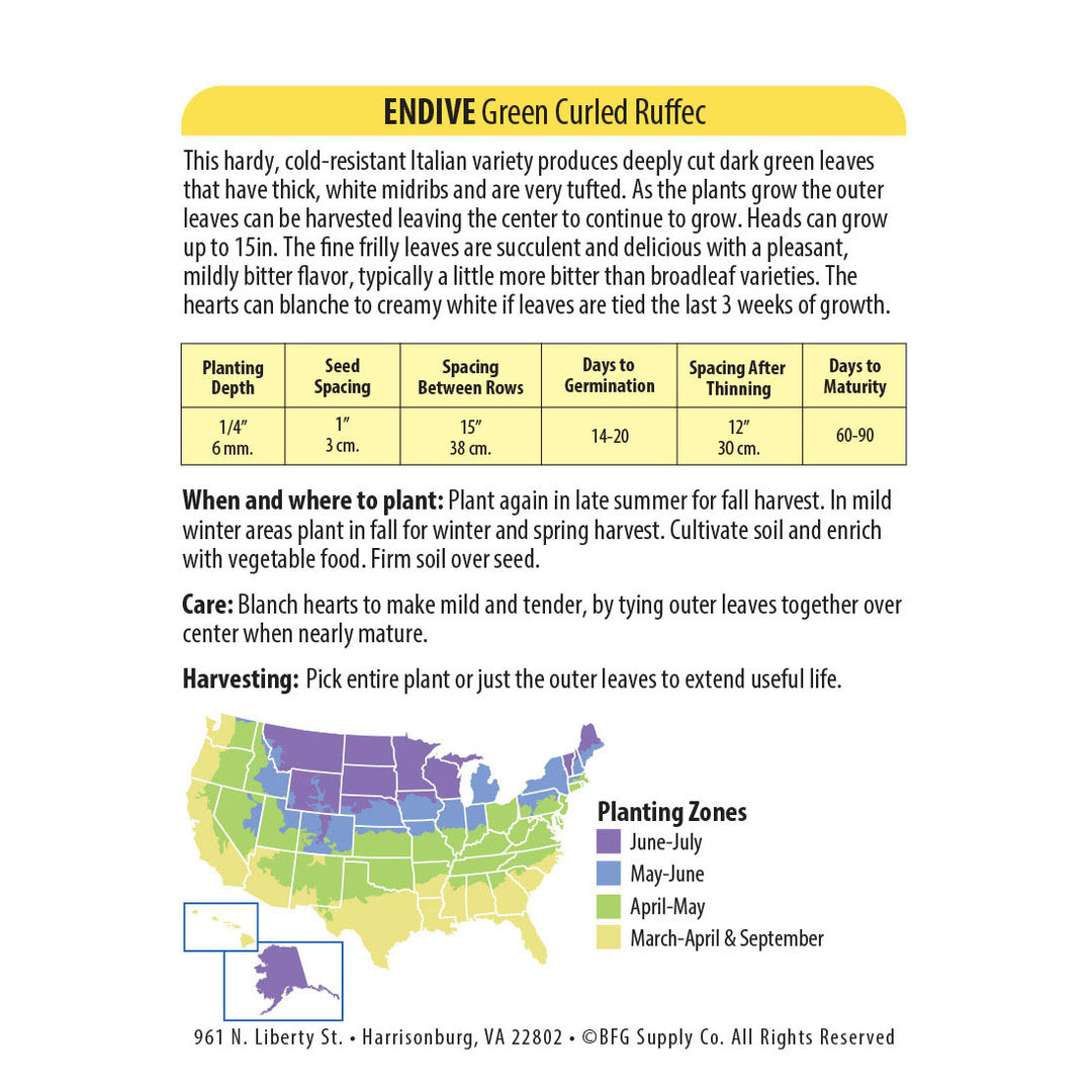 Wetsel Seed™ Endive Green Curled Ruffec Seed
