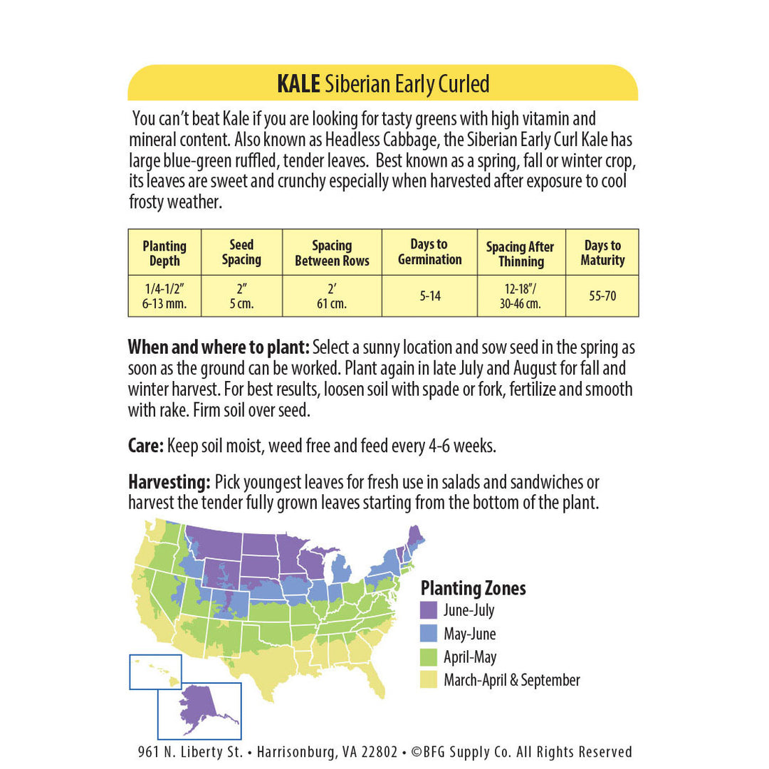 Wetsel Seed™ Kale Early Curled Siberian Seed