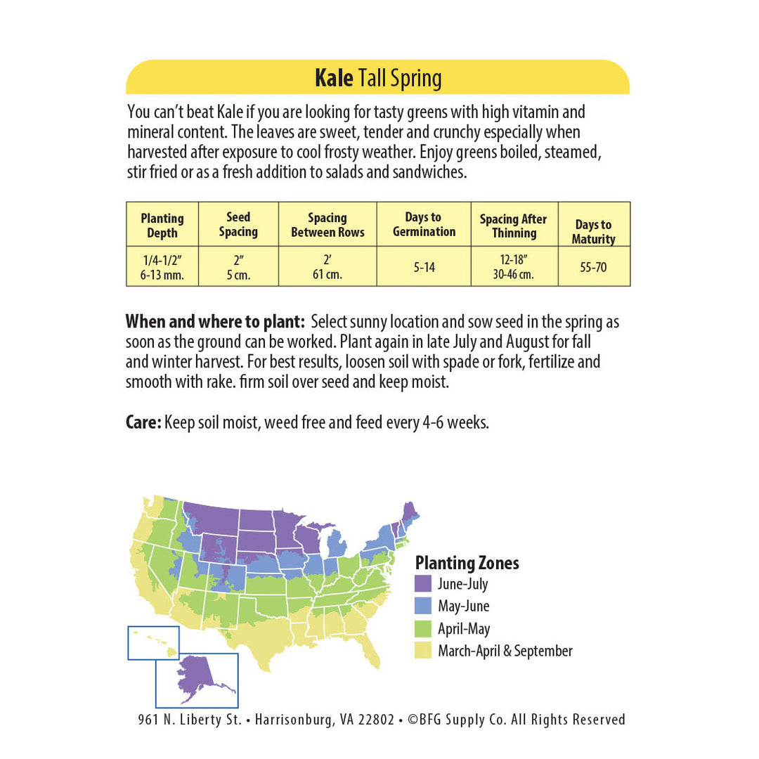 Wetsel Seed™ Tall Spring Kale Seed