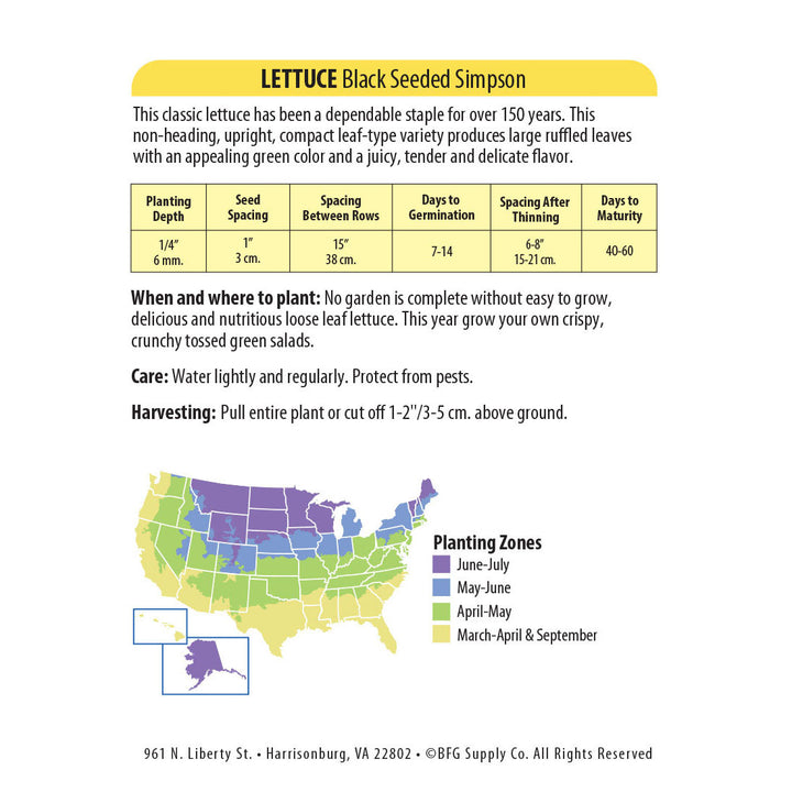 Wetsel Seed™ Black Seeded Simpson Lettuce Seed