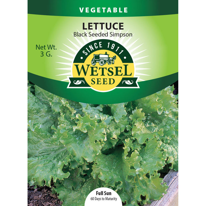 Wetsel Seed™ Black Seeded Simpson Lettuce Seed