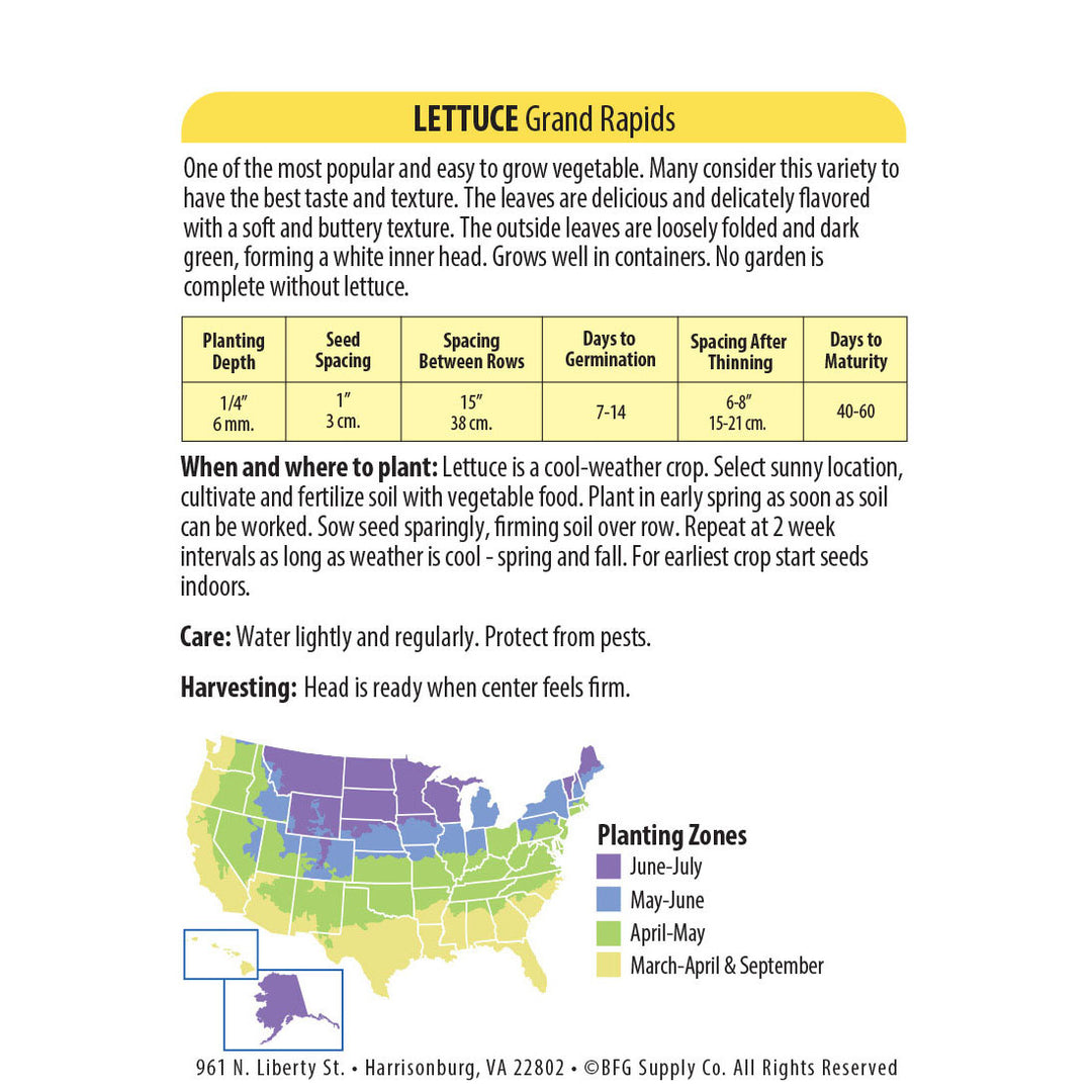 Wetsel Seed™ Lettuce Grand Rapids Seed