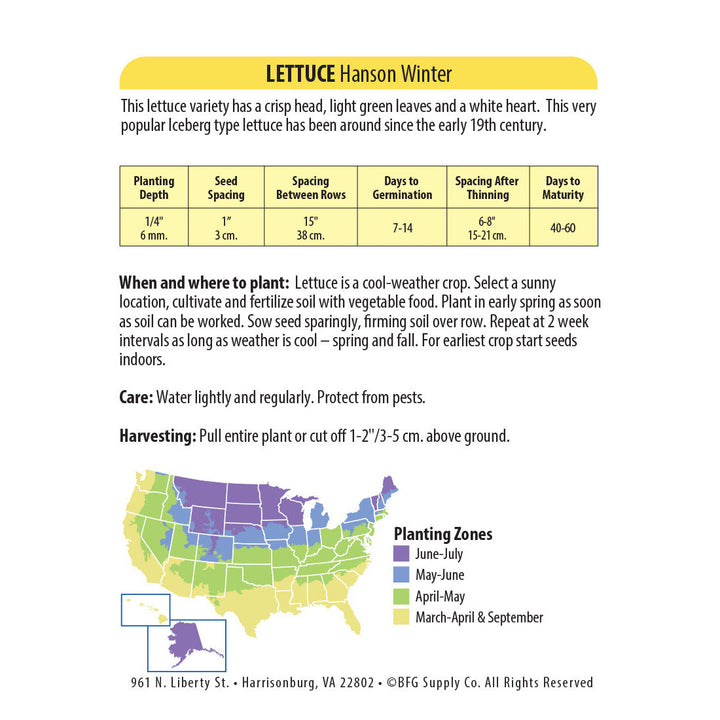 Wetsel Seed™ Lettuce Hanson Improved Seed