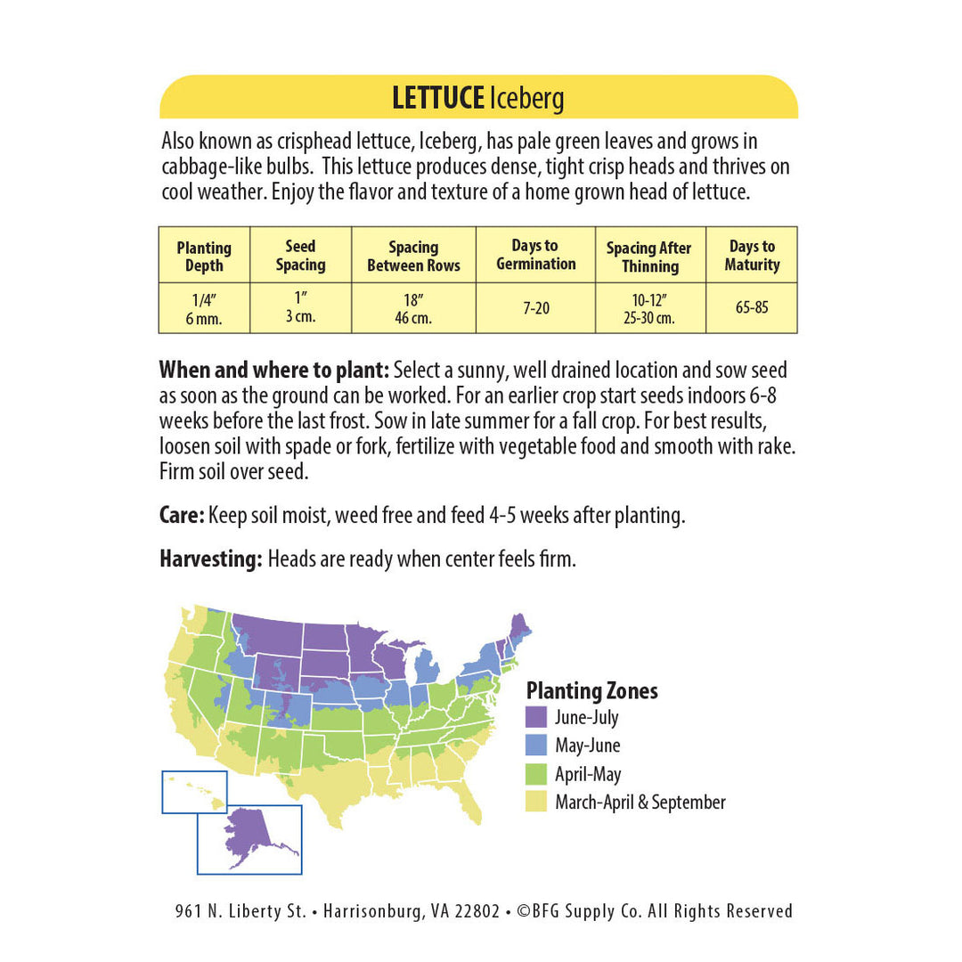 Wetsel Seed™ Lettuce Iceberg Seed