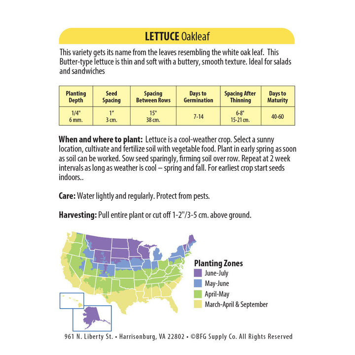 Wetsel Seed™ Oakleaf Lettuce Seed