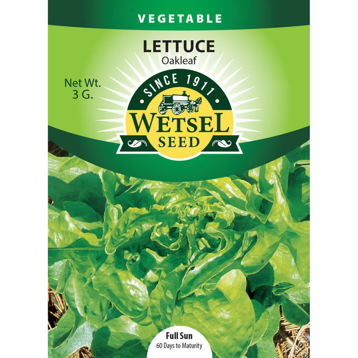 Wetsel Seed™ Oakleaf Lettuce Seed