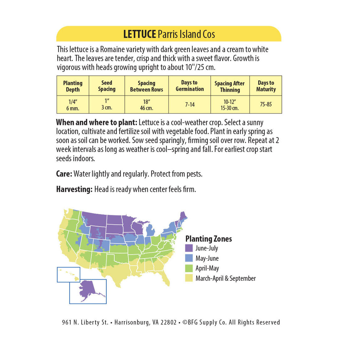 Wetsel Seed™ Paris Island Cos Romaine Lettuce Seed