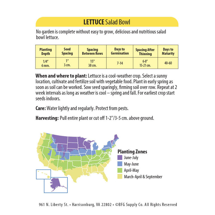 Wetsel Seed™ Lettuce Salad Bowl Seed