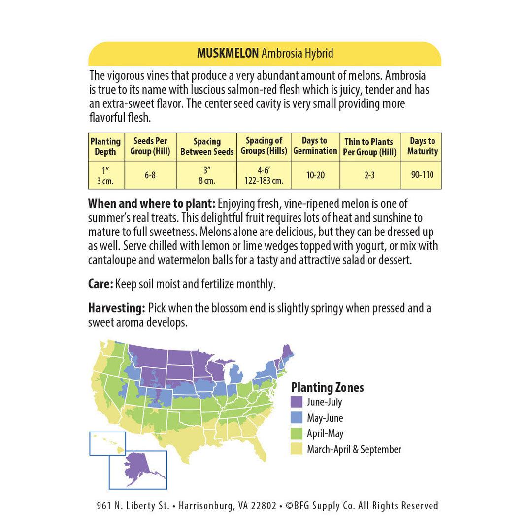 Wetsel Seed™ Muskmelon / Cantaloupe Ambrosia Seed