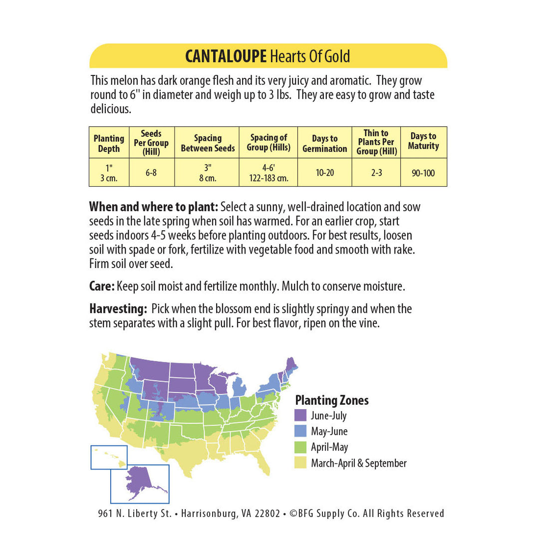 Wetsel Seed™ Hearts Of Gold Cantaloupe Seed