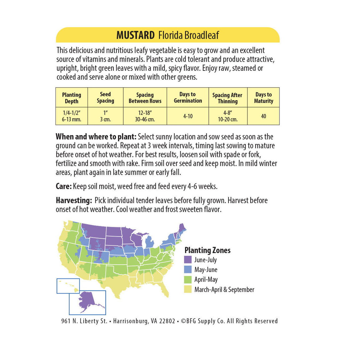 Wetsel Seed™ Florida Broadleaf Mustard Seed