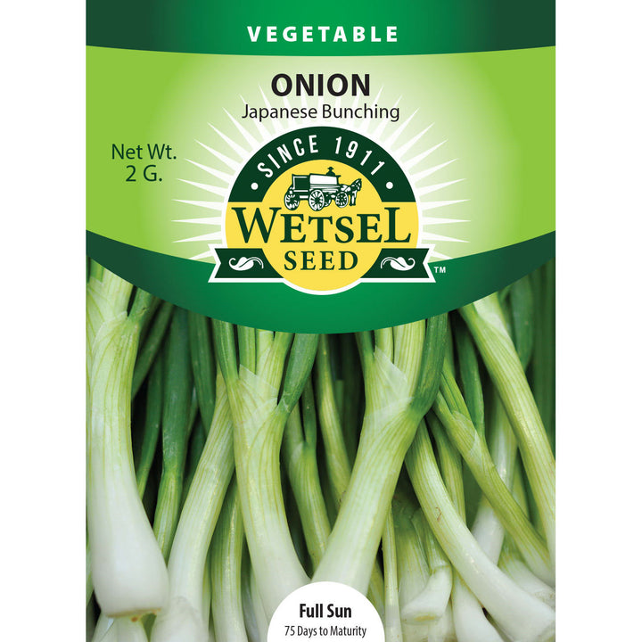 Wetsel Seed™ Japanese Bunching Onion Seed