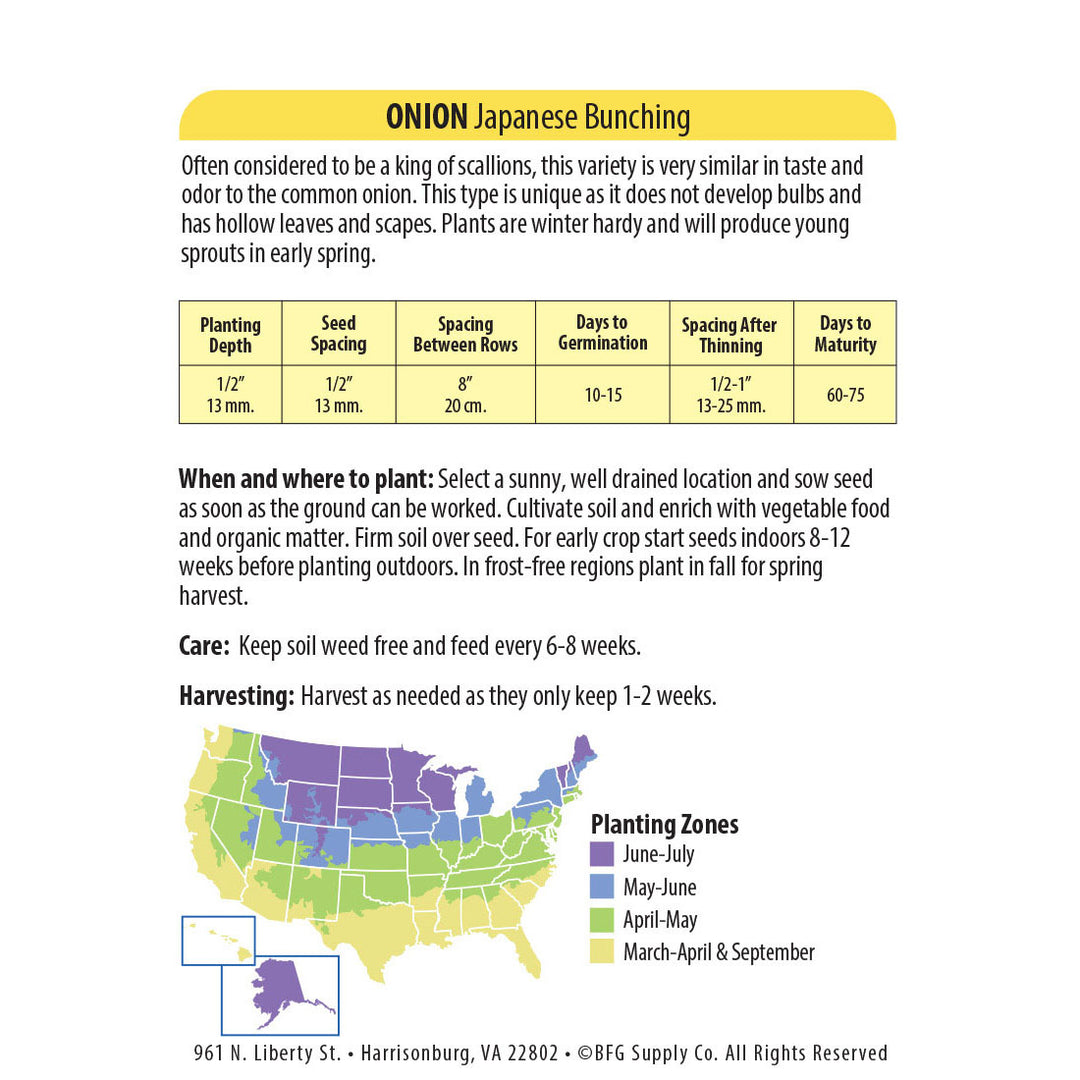 Wetsel Seed™ Japanese Bunching Onion Seed
