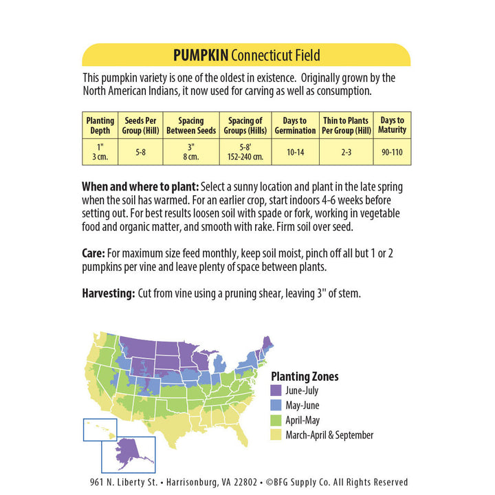 Wetsel Seed™ Connecticut Field Pumpkin Seed