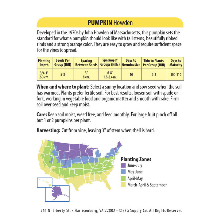 Wetsel Seed™ Pumpkin Howden Seed