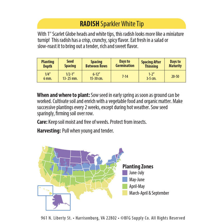 Wetsel Seed™ Radish Sparkler White Tip Seed