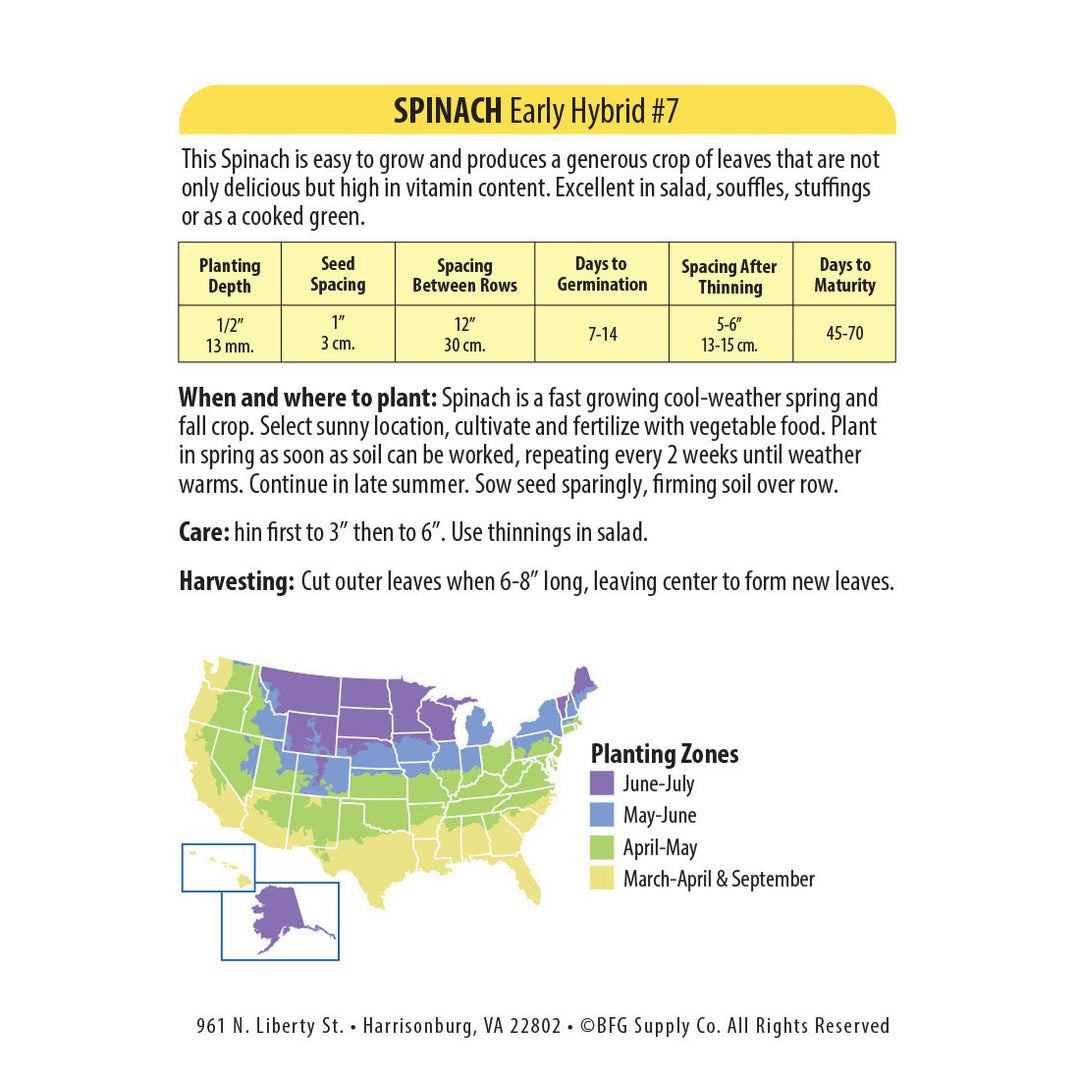 Wetsel Seed™ Spinach Early Hybrid #7 Seed