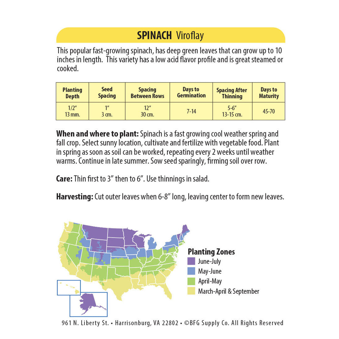 Wetsel Seed™ Viroflay Spinach Seed