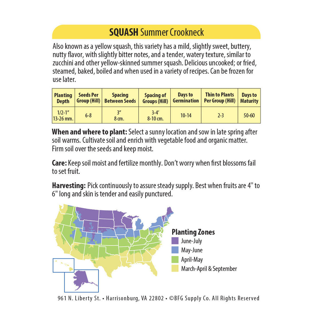 Wetsel Seed™ Squash Golden Crookneck Zucchini Seed