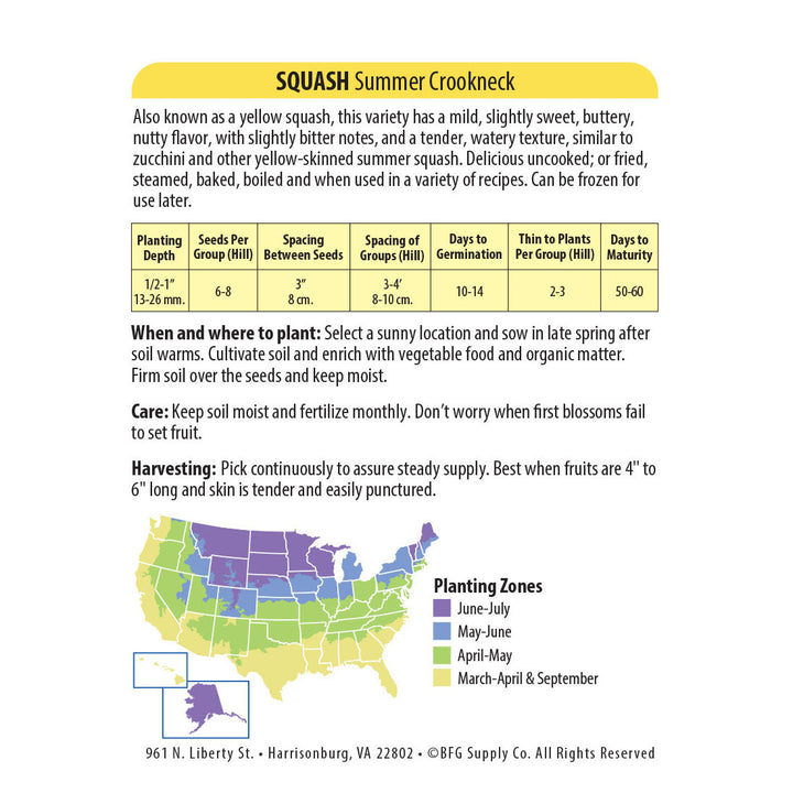 Wetsel Seed™ Squash Golden Crookneck Zucchini Seed