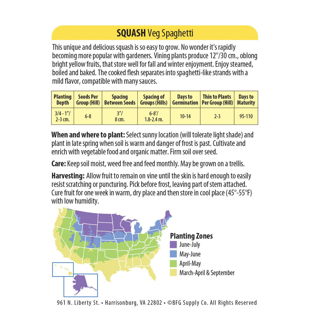 Wetsel Seed™ Spaghetti Squash Seed