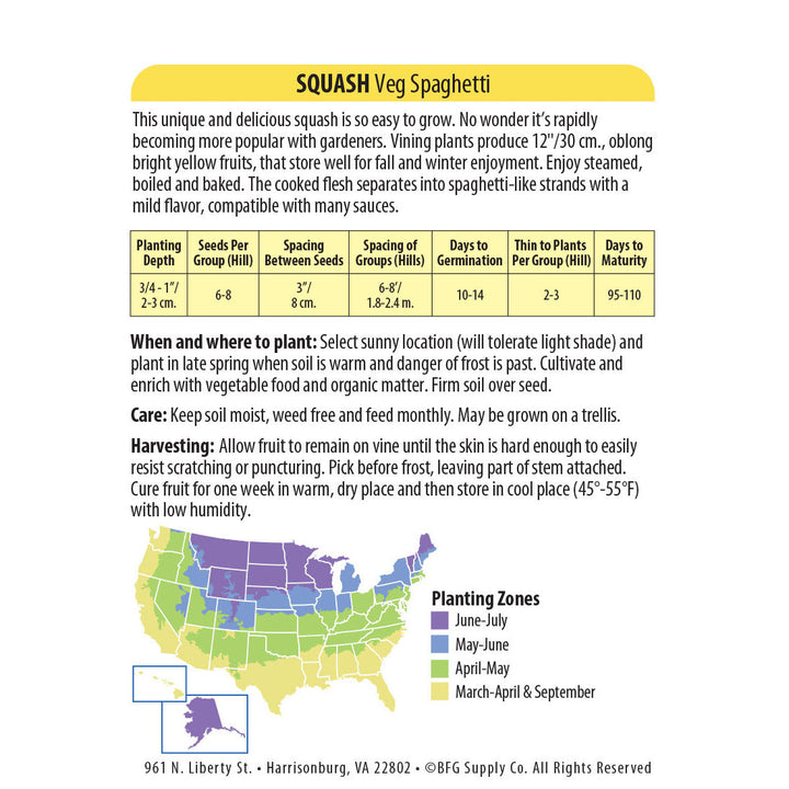 Wetsel Seed™ Spaghetti Squash Seed