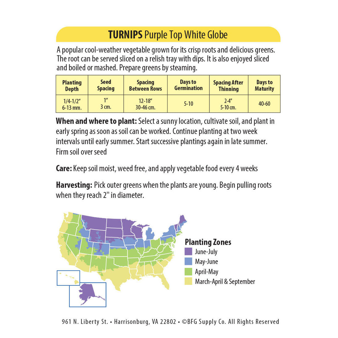 Wetsel Seed™ Turnip Purple Top White Globe Seed