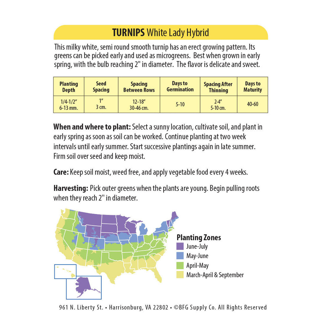 Wetsel Seed™ Hybrid White Lady Turnip Seed