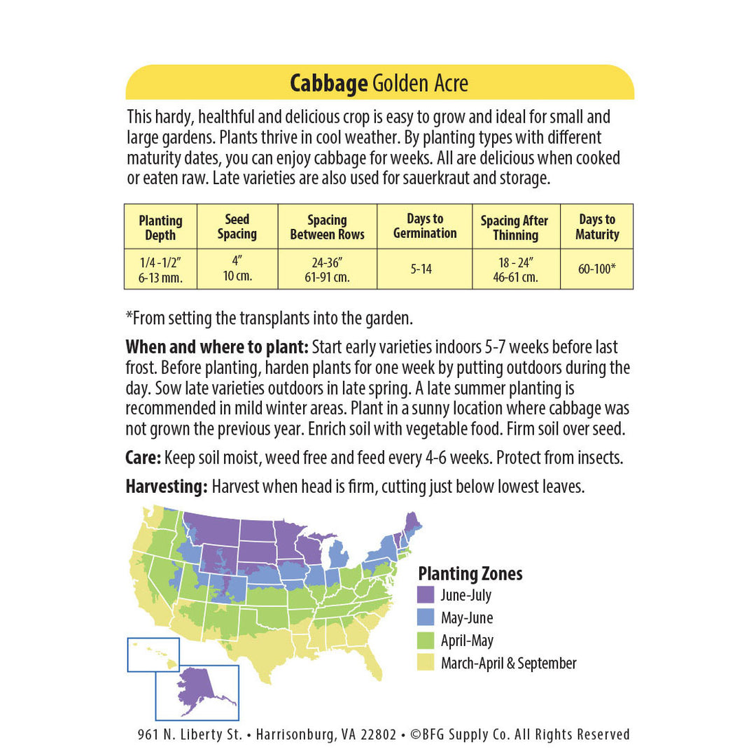 Wetsel Seed™ Organic Golden Acre Cabbage Seed