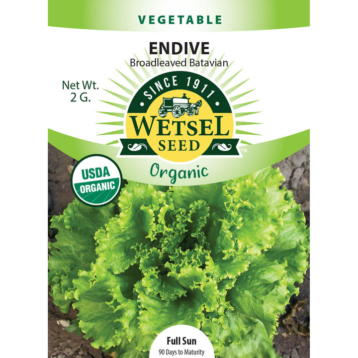 Wetsel Seed™ Organic Broadleaved Batavian Endive Seed