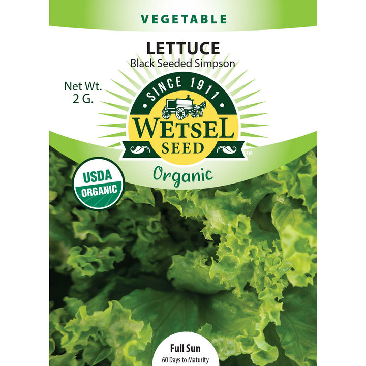 Wetsel Seed™ Organic Black Seeded Simpson Lettuce Seed