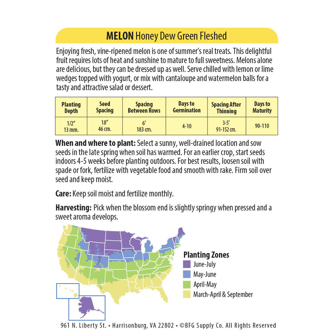 Wetsel Seed™ Organic Honey Dew Green Fleshed Melon Seed