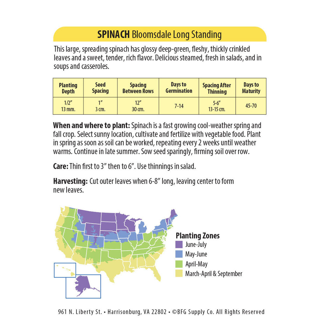 Wetsel Seed™ Organic Bloomsdale Long Standing Spinach Seed