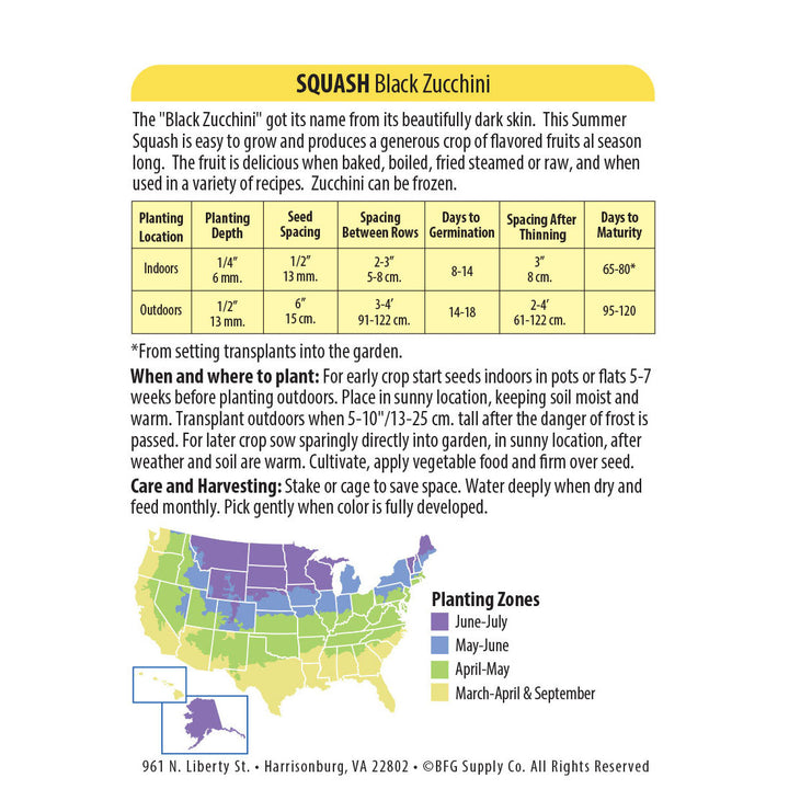 Wetsel Seed™ Organic Black Zucchini Squash Seed