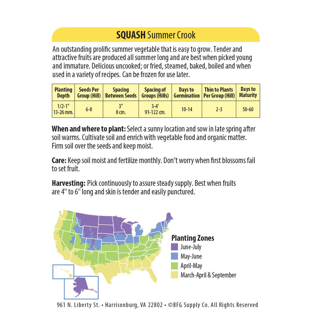 Wetsel Seed™ Organic Summer Crook Squash Seed