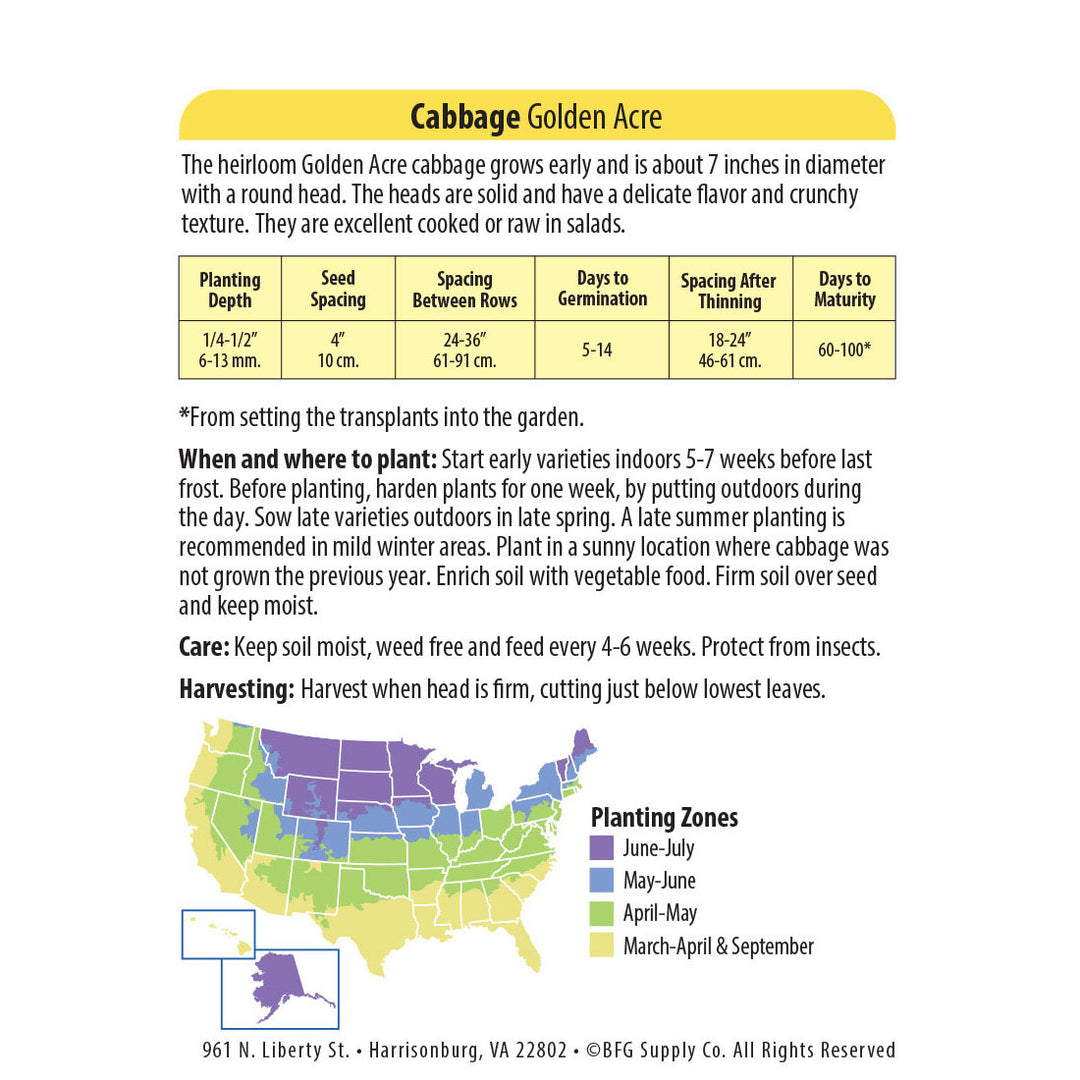 Wetsel Seed™ Heirloom Cabbage Early Golden Acre Seed