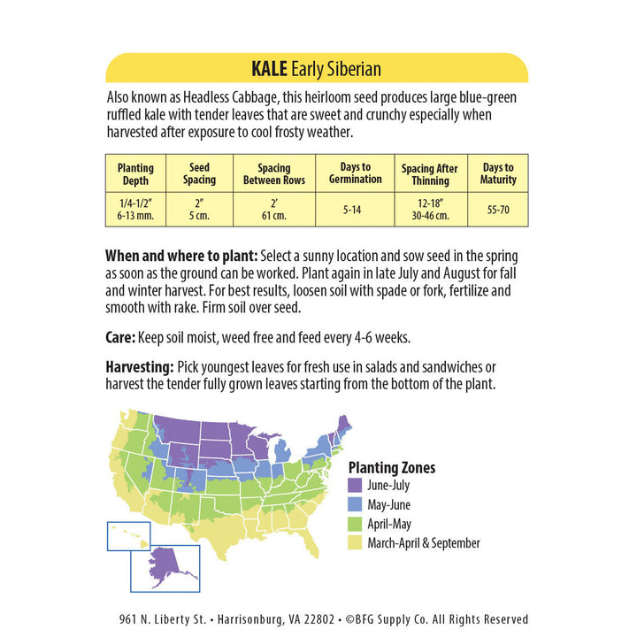 Wetsel Seed™ Heirloom Kale Early Siberian Seed
