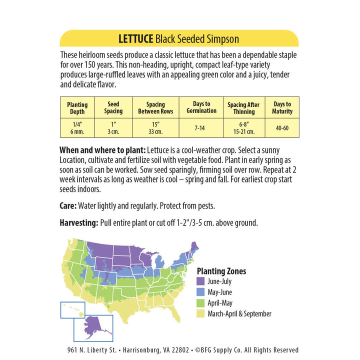 Wetsel Seed™ Heirloom Lettuce Black Seeded Simpson Seeds
