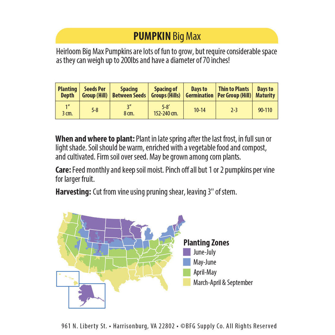 Wetsel Seed™ Heriloom Pumpkin Big Max Seed