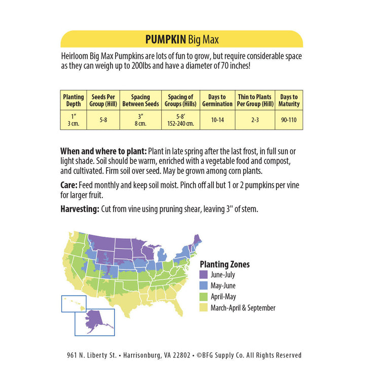 Wetsel Seed™ Heriloom Pumpkin Big Max Seed