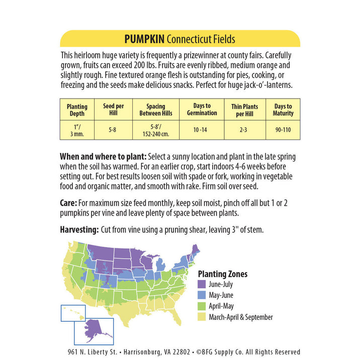 Wetsel Seed™ Heirloom Pumpkin Connecticut Field Seed