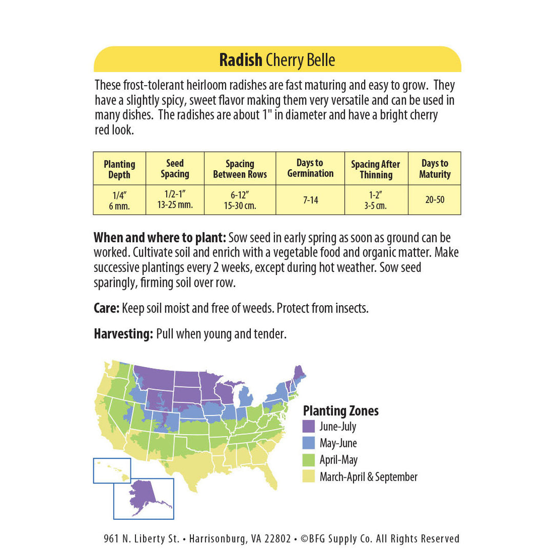 Wetsel Seed™ Heirloom Radish Cherry Belle Seed