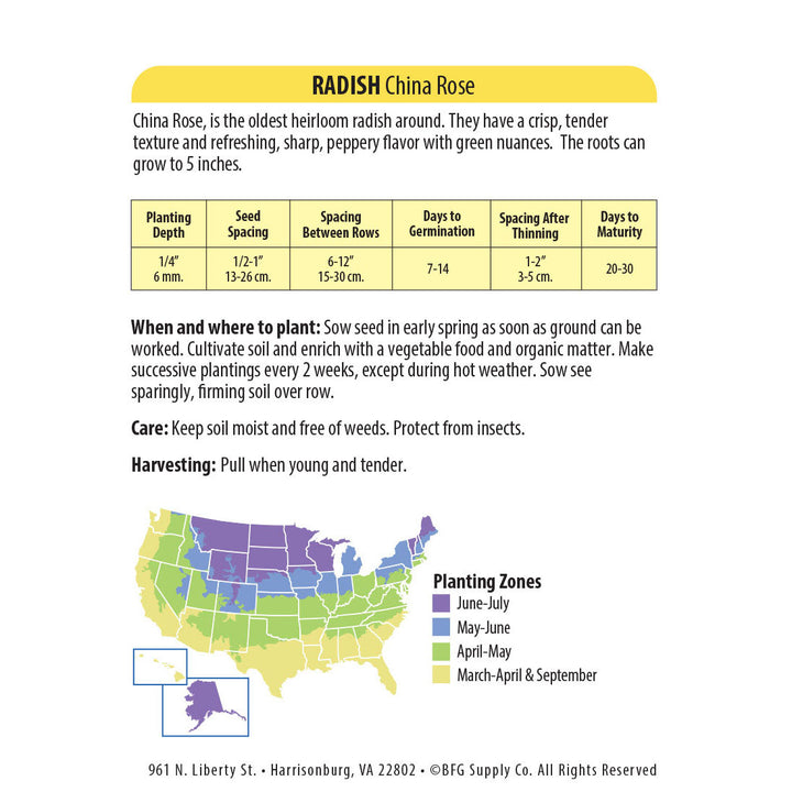 Wetsel Seed™ Heirloom Radish China Rose Seed