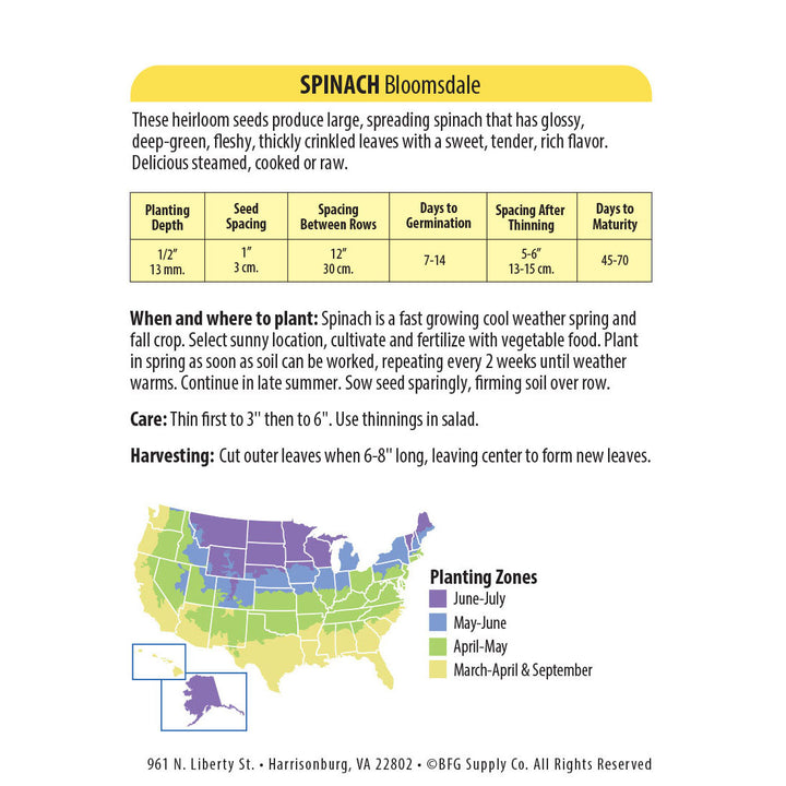 Wetsel Seed™ Heirloom Spinach Bloomsdale Seed