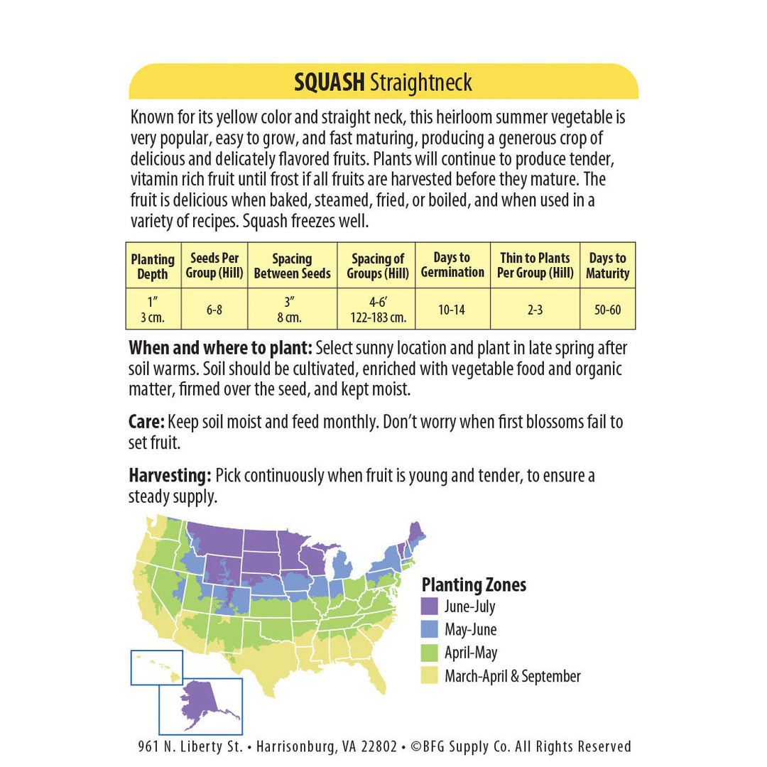 Wetsel Seed™ Heirloom Squash Straightneck Seed