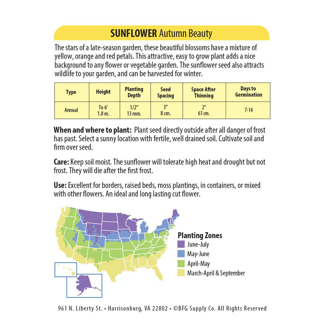 Wetsel Seed™ Sunflower Autumn Beauty Seed