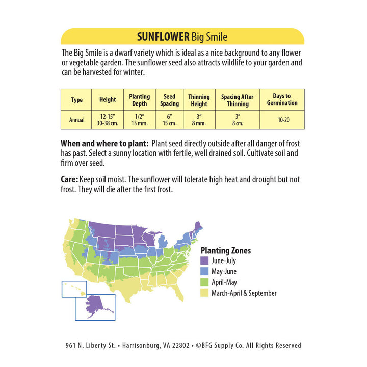 Wetsel Seed™ Sunflower Dwarf Big Smile Seed