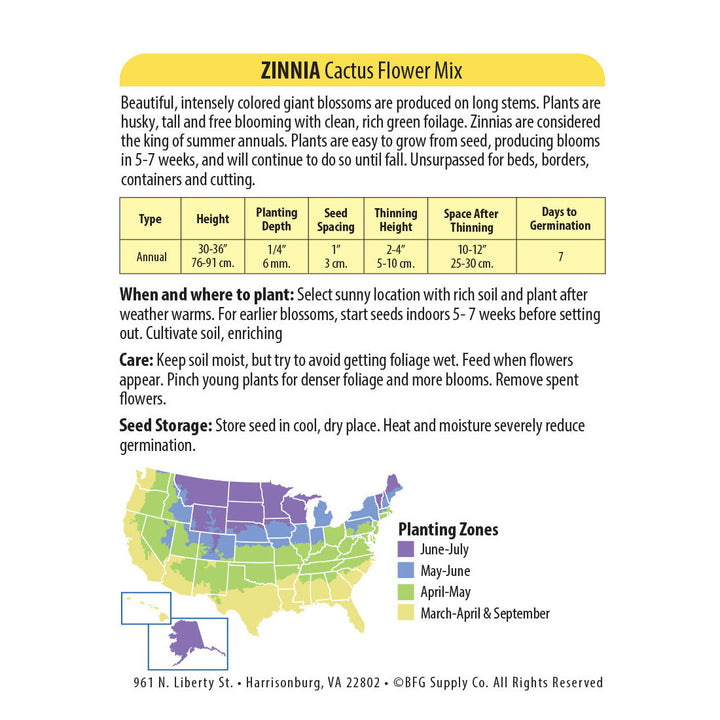 Wetsel Seed™ Cactus Flower Mix Zinnia Seed