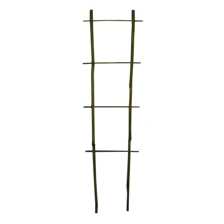 Bamboo Flair Trellis - Pack of 10