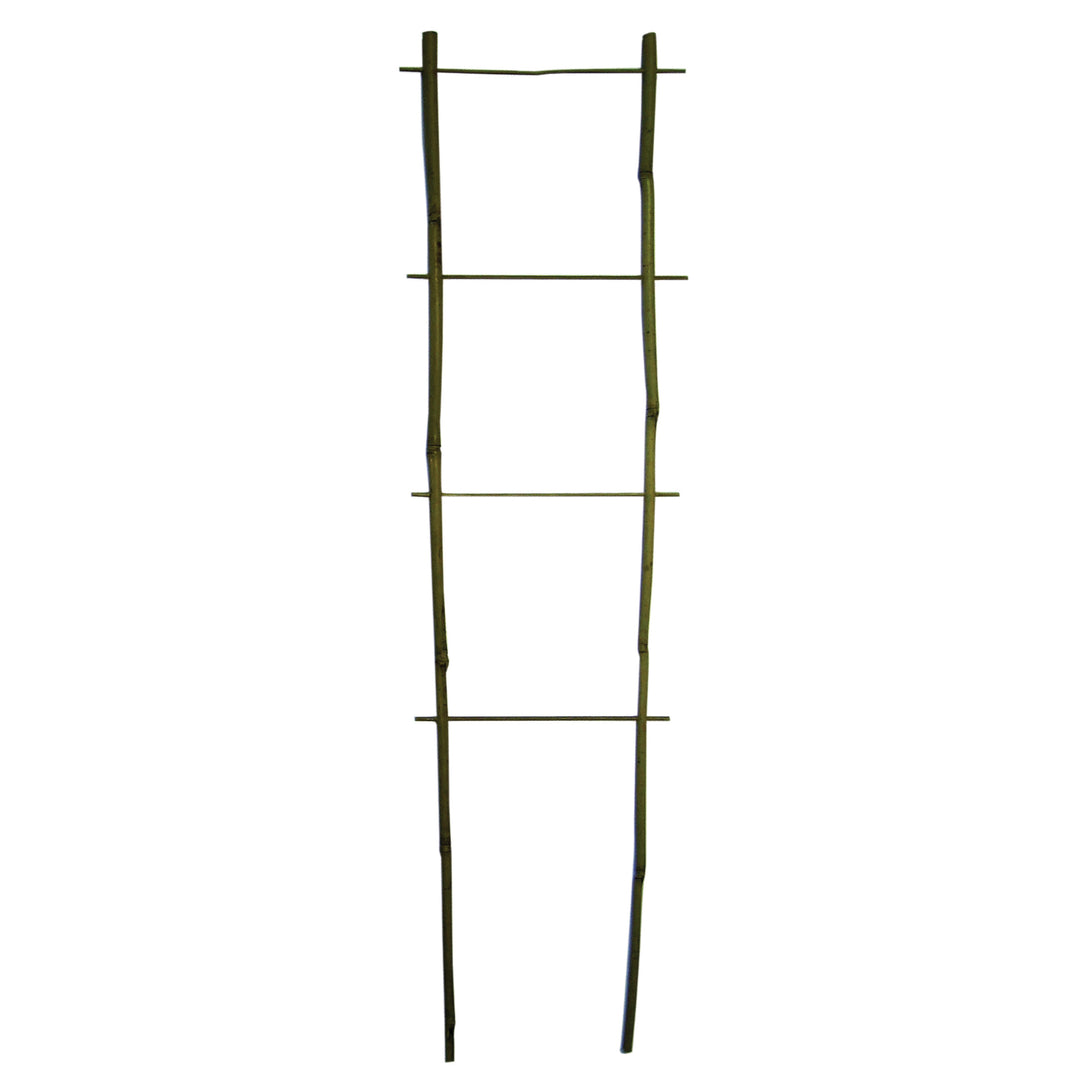 Bamboo Flair Trellis - Pack of 10